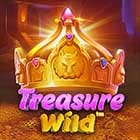 Treasure Wild